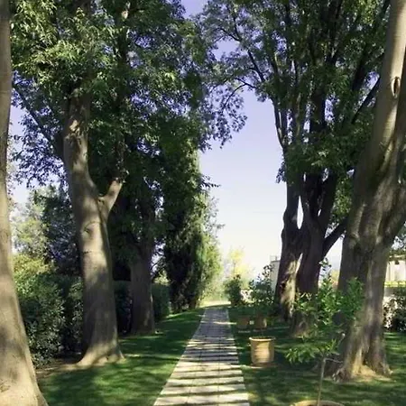 Hotel Acquaviva Del Garda 4*